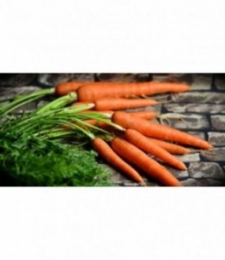 Carottes-1kg