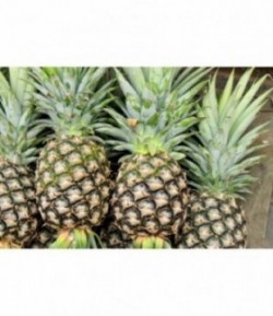 Ananas-1 pièce