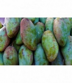 Mangue-1Kg