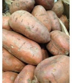 Patate douce-1Kg