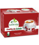 oseille de guinée - vital guinée