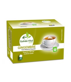 Gingembre-Guinée Vital