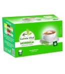Moringa-Guinée Vital