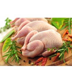Le poulet du pays-Conacoq
