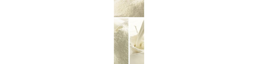 Lait en poudre