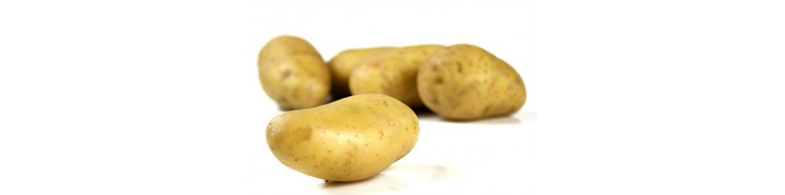 pommes de terre