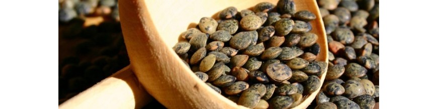 Lentilles