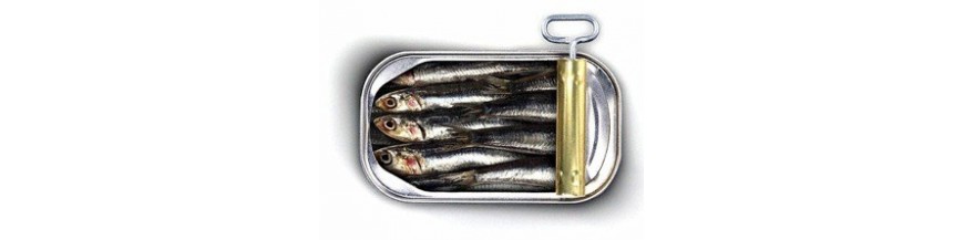 Sardines